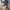 New Era Y2K Skater Hat Pria white black photo 6