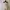 No Brand photo 1