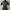 No Brand photo 1