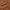 BEN SHERMAN Cord Overshirt Lt Tan photo 2
