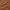 BEN SHERMAN Cord Overshirt Lt Tan