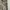 Dress Formal Cream  photo 6