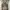 Dress Formal Cream  photo 3