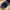 TreeCap Snap Classic Navy by Atlantis Snap Five photo 3
