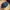 TreeCap Snap Classic Navy by Atlantis Snap Five photo 2