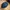 TreeCap Snap Classic Navy By Atlantis Snap Five