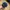 TreeCap Snap Classic Navy by Atlantis Snap Five photo 7