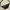 STRADIVARIUS WAIST BAG