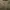 Pal Zileri Vintage Luxury Formal shirt Pria tan photo 3