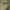 Zegna Vintage Luxury Formal shirt Pria tan photo 3