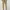 BEN SHERMAN Signature Slim Stretch Chino photo 2