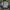 Dickies diamond quilted jacket / Workwear Active Dickies  photo 5
