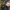 Dickies diamond quilted jacket / Workwear Active Dickies  photo 6