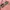 BOSS Man Sunglasses 1508|s photo 3