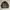 Vintage 1990’s Thrashed Leather Clasp Flight Jacket  photo 1