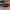 AIR JORDAN 1 LOW REVERSE BRED , AIR JORDAN REVERSE BRED , AI