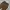 Ne-net Vintage Avant Garde Casual Pants Pria Brown