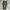 Ne-net Vintage Avant Garde Casual Pants Pria Brown