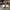 AIR JORDAN 1 RETRO HIGH WHITE COURT PURPLE , AIR JORDAN 1 HI photo 2