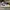 AIR JORDAN 1 RETRO HIGH WHITE COURT PURPLE , AIR JORDAN 1 HI photo 3