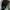 NEW BALANCE 860 V2 GREEN , NEW BALANCE 860 V2 , NEW BALANCE  photo 5