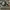 NEW BALANCE 860 V2 GREEN , NEW BALANCE 860 V2 , NEW BALANCE 