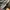 NEW BALANCE 860 V2 GREEN , NEW BALANCE 860 V2 , NEW BALANCE  photo 3