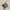 BENEUNDER Polarized Sunglasses photo 5