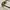 BENEUNDER Polarized Sunglasses photo 3