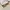 BENEUNDER Polarized Sunglasses photo 2