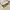BENEUNDER Polarized Sunglasses