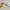 BENEUNDER Polarized Sunglasses photo 4