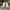 AIR JORDAN 1 LOW PARIS , AIR JORDAN PARIS , AIR JORDAN 1 LOW