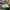 NEW BALANCE 860 V2 GREEN , NEW BALANCE 860 V2 , NEW BALANCE  photo 4