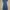 Sleepsack newborn photo 1