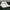 NMD R1 Women’s