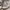 Hush puppies jaz bucket white photo 1