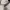 Hush puppies jaz bucket white photo 4