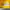 Reworked Other Pria yellow photo 2