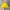 Reworked Other Pria Yellow