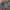 STAF ONLY MID BLUE TRCUKER JAKET  photo 1