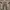 Cargo Relax Pants photo 1