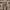 Cargo Relax Pants