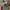 Vintage Patchwork Hippie/Boho Style Long Pants photo 4