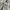 HOODIE BEAN POLE JEANS FULL ZIP photo 3