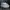 Fila X MMY size 43 photo 1