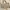 Gucci Canvas Beige Tote Bag (mirror)