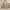 Gucci Canvas Beige Tote Bag (mirror)