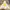 BEENTRILL Yellow Taping Hashtag Overfit Hoodie photo 2