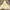 BEENTRILL Yellow Taping Hashtag Overfit Hoodie